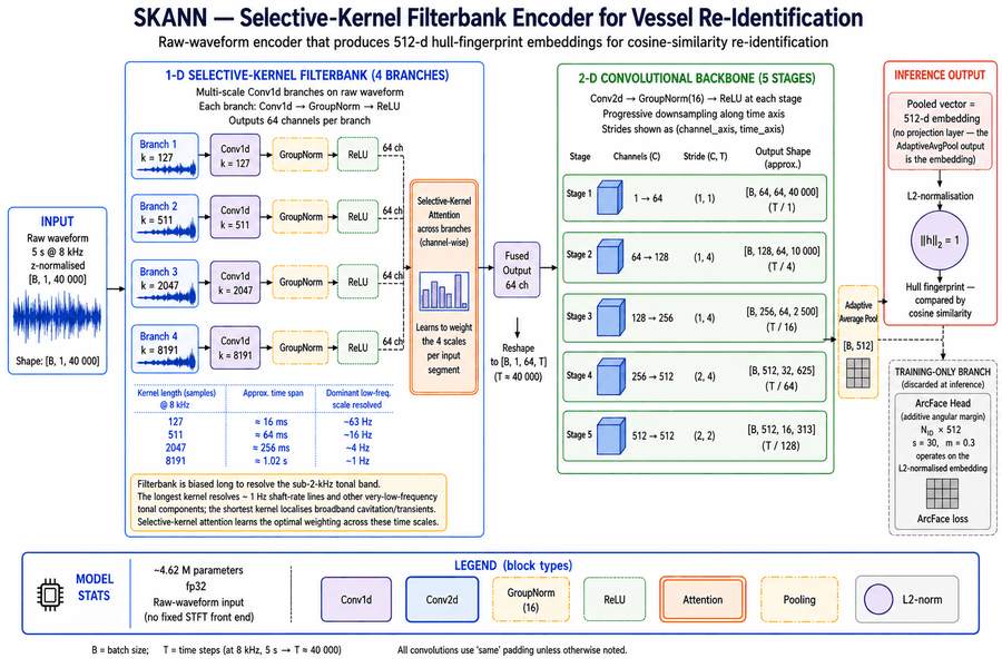 SKANN architecture: raw waveform, four-branch selective-kernel filterbank, hull fingerprint